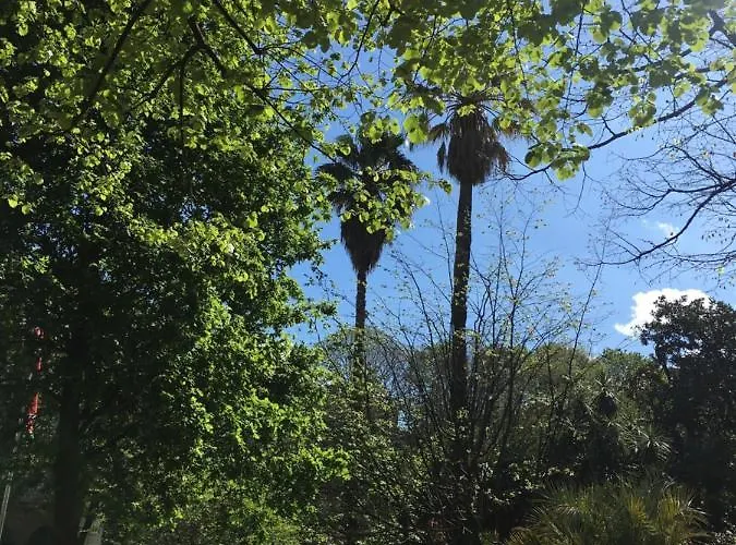 Arch. Daire San Sebastián